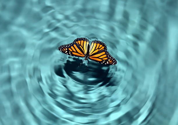 The Ripple Effect of Your&nbsp;Presence